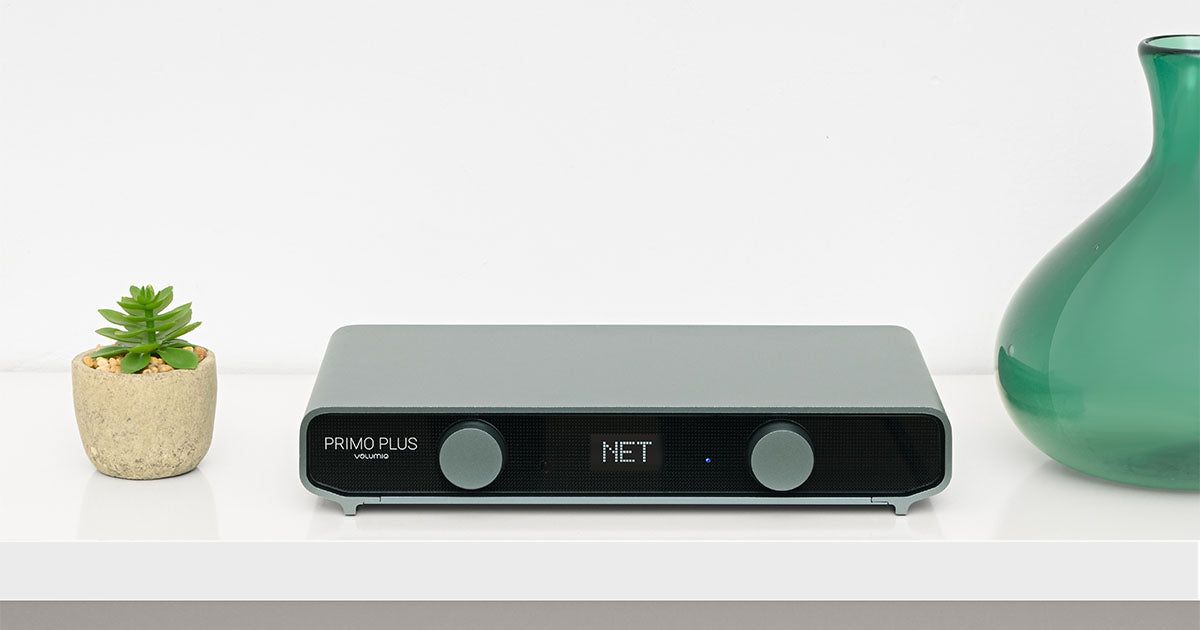 Volumio Primo Plus 背面端子